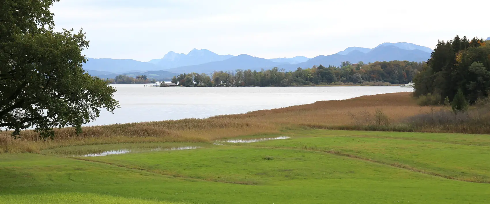 Chiemsee bei Breitbrunn mit Wiese am Ufer und den Chiemgauer Alpen im Hintergrund